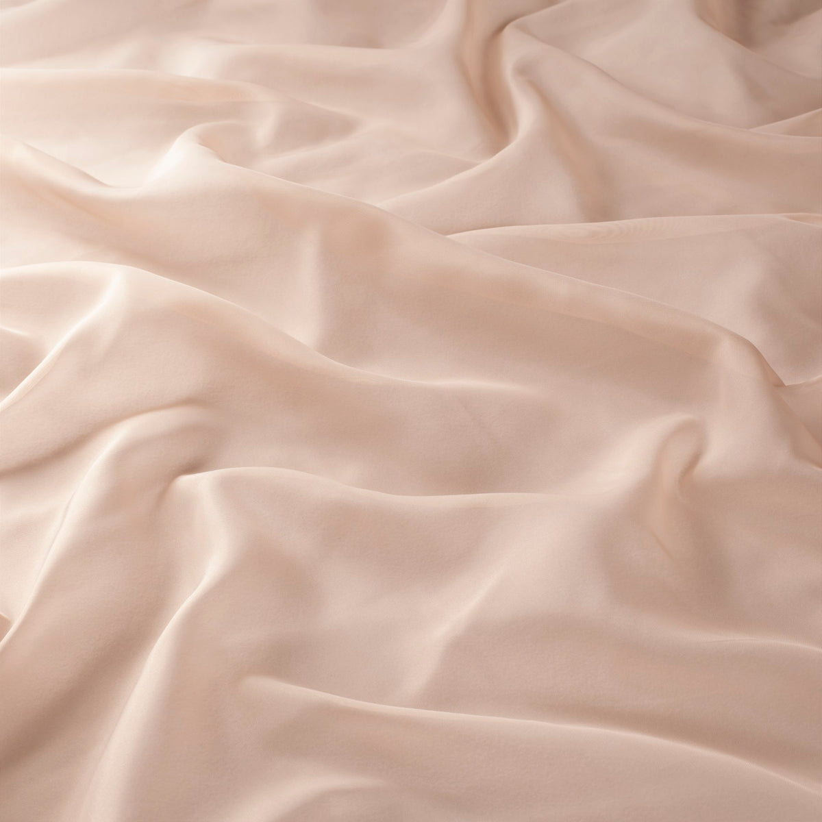 Haze, Touch of Pink, 2024