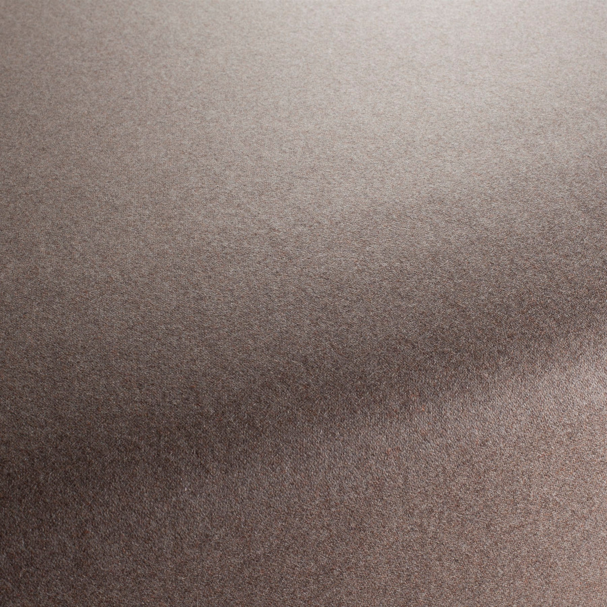 Woollen FR, QUIET BROWN, 2024