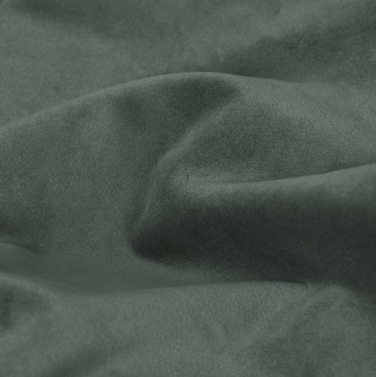 Velvet, Grey & Green, 2024